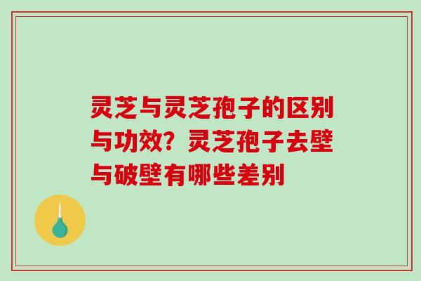 灵芝与灵芝孢子的区别与功效?灵芝孢子去壁与破壁有哪些差别 灵芝与灵芝孢子的区别与功效?灵芝孢子去壁与破壁有哪些差别