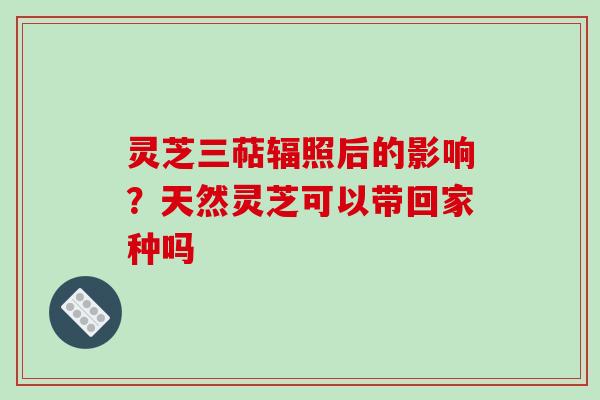 灵芝三萜辐照后的影响?天然灵芝可以带回家种吗 灵芝三萜辐照后的影响?天然灵芝可以带回家种吗