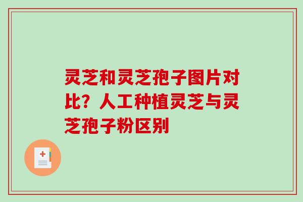 灵芝和灵芝孢子图片对比？人工种植灵芝与灵芝孢子粉区别