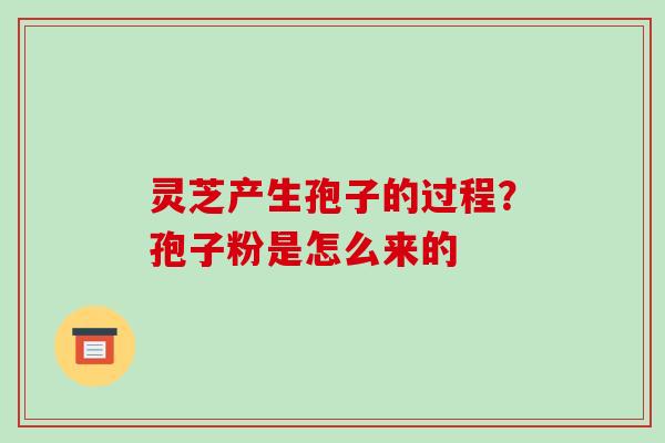 灵芝产生孢子的过程?孢子粉是怎么来的 灵芝产生孢子的过程?孢子粉是怎么来的