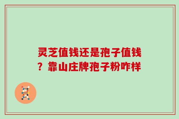 灵芝值钱还是孢子值钱？靠山庄牌孢子粉咋样