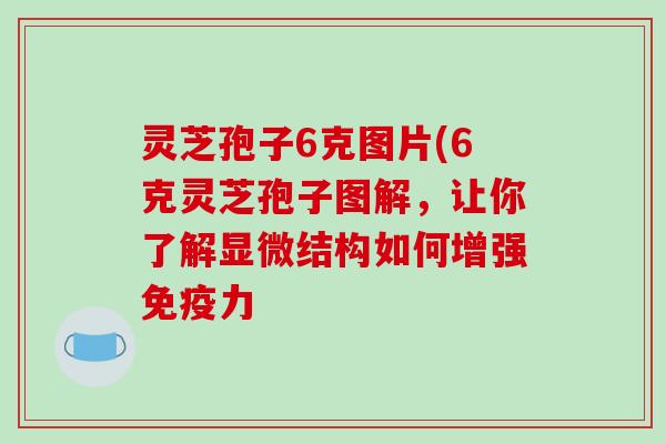 灵芝孢子6克图片(6克灵芝孢子图解,让你了解显微结构如何增强免疫力 灵芝孢子6克图片(6克灵芝孢子图解,让你了解显微结构如何增强免疫力