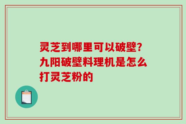 灵芝到哪里可以破壁？九阳破壁料理机是怎么打灵芝粉的