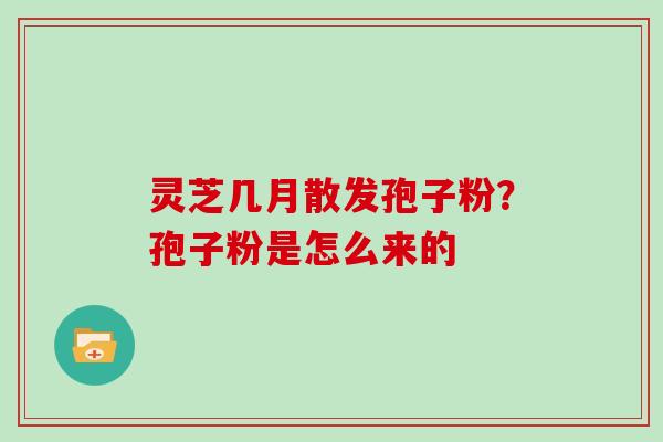 灵芝几月散发孢子粉？孢子粉是怎么来的