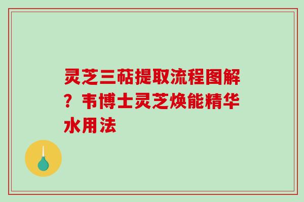 灵芝三萜提取流程图解？韦博士灵芝焕能精华水用法