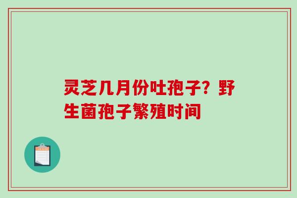 灵芝几月份吐孢子？野生菌孢子繁殖时间