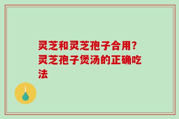 灵芝和灵芝孢子合用?灵芝孢子煲汤的正确吃法 灵芝和灵芝孢子合用?灵芝孢子煲汤的正确吃法