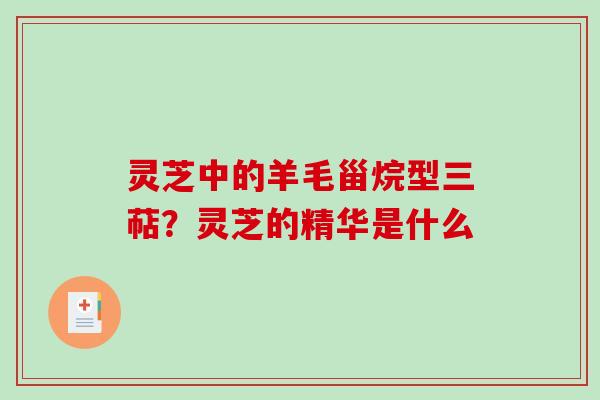 灵芝中的羊毛甾烷型三萜？灵芝的精华是什么