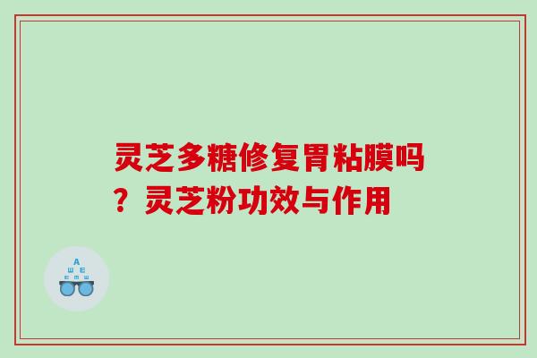 灵芝多糖修复胃粘膜吗？灵芝粉功效与作用