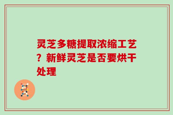 灵芝多糖提取浓缩工艺？新鲜灵芝是否要烘干处理