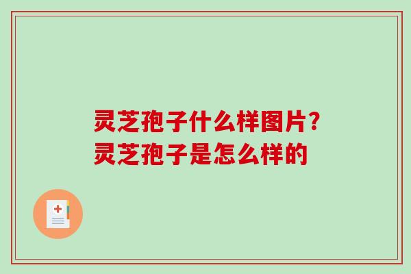 灵芝孢子什么样图片?灵芝孢子是怎么样的 灵芝孢子什么样图片?灵芝孢子是怎么样的