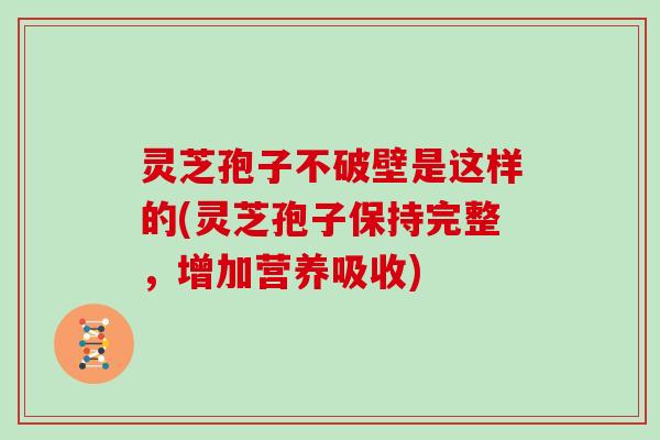 灵芝孢子不破壁是这样的(灵芝孢子保持完整,增加营养吸收) 灵芝孢子不破壁是这样的(灵芝孢子保持完整,增加营养吸收)