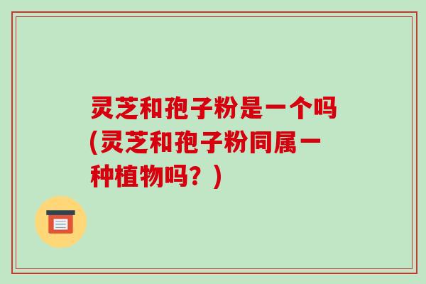 灵芝和孢子粉是一个吗(灵芝和孢子粉同属一种植物吗？)