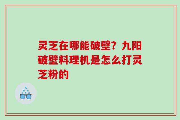 灵芝在哪能破壁？九阳破壁料理机是怎么打灵芝粉的