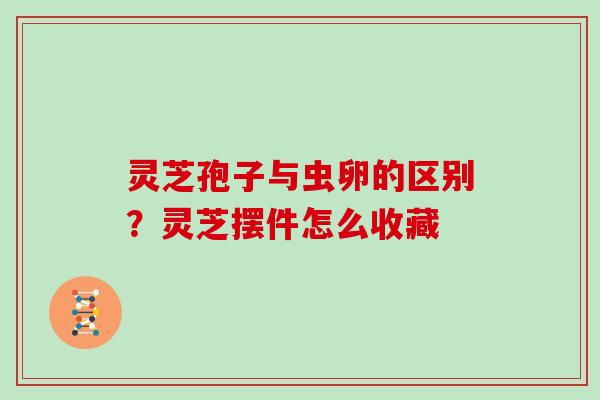 灵芝孢子与虫卵的区别？灵芝摆件怎么收藏
