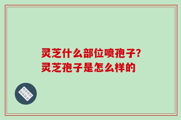 灵芝什么部位喷孢子？灵芝孢子是怎么样的