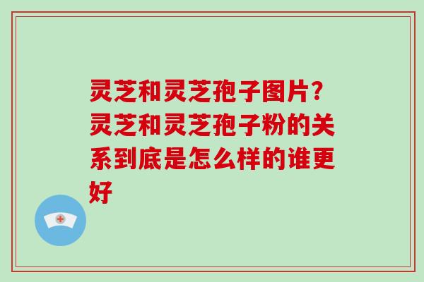 灵芝和灵芝孢子图片？灵芝和灵芝孢子粉的关系到底是怎么样的谁更好