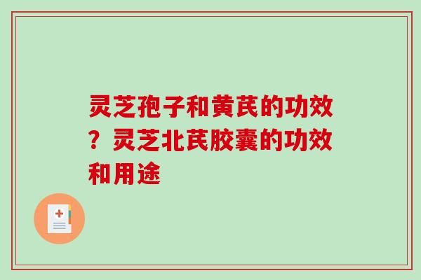 灵芝孢子和黄芪的功效？灵芝北芪胶囊的功效和用途