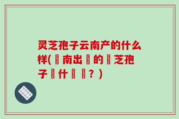 灵芝孢子云南产的什么样(雲南出產的靈芝孢子長什麼樣？)
