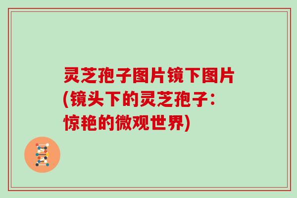 灵芝孢子图片镜下图片(镜头下的灵芝孢子：惊艳的微观世界)
