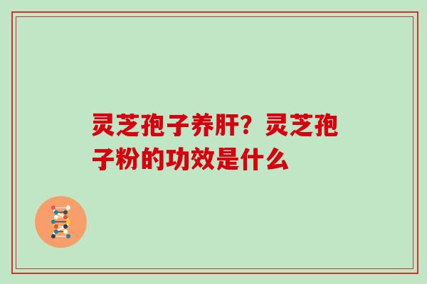 灵芝孢子养肝？灵芝孢子粉的功效是什么