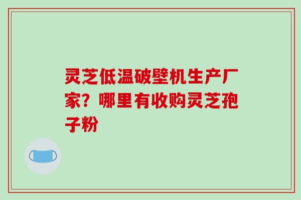 灵芝低温破壁机生产厂家？哪里有收购灵芝孢子粉