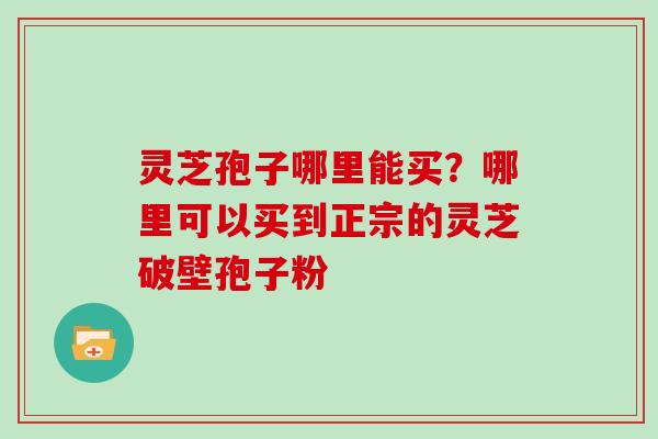 灵芝孢子哪里能买？哪里可以买到正宗的灵芝破壁孢子粉