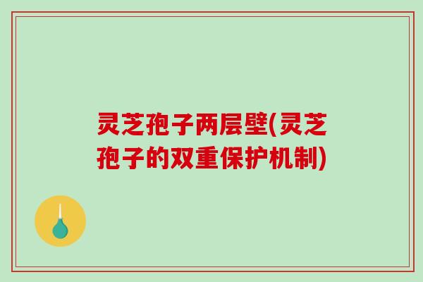 灵芝孢子两层壁(灵芝孢子的双重保护机制)