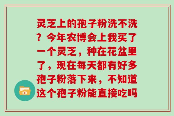 灵芝上的孢子粉洗不洗？今年农博会上我买了一个灵芝，种在花盆里了，现在每天都有好多孢子粉落下来，不知道这个孢子粉能直接吃吗