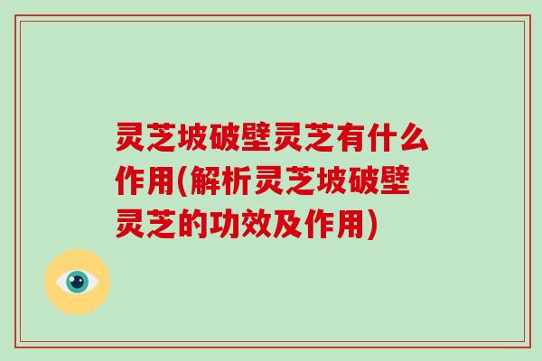 灵芝坡破壁灵芝有什么作用(解析灵芝坡破壁灵芝的功效及作用)