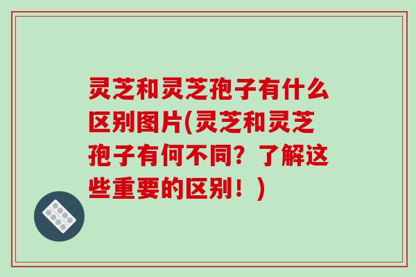 灵芝和灵芝孢子有什么区别图片(灵芝和灵芝孢子有何不同？了解这些重要的区别！)