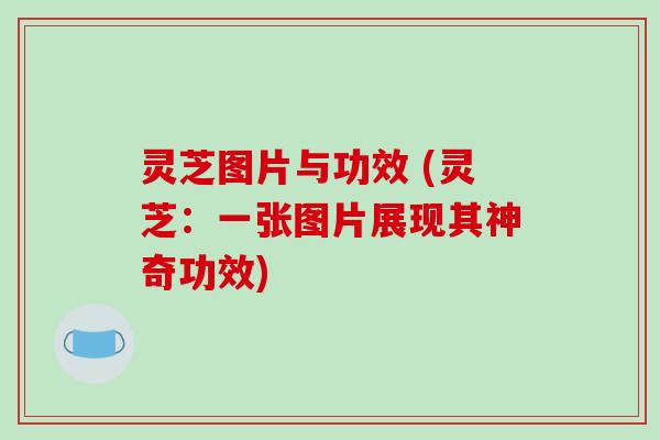 灵芝图片与功效 (灵芝：一张图片展现其神奇功效)
