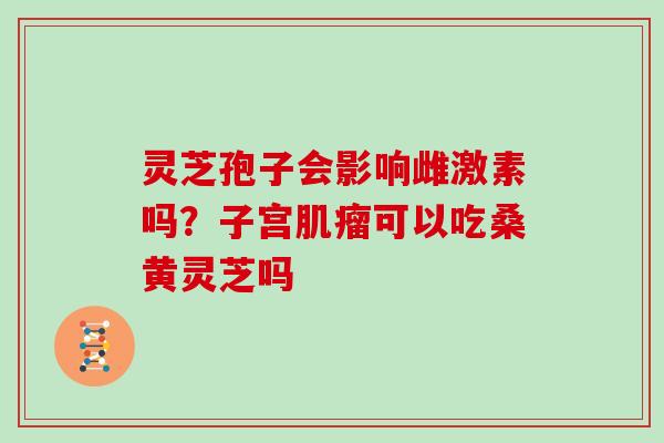 灵芝孢子会影响雌激素吗？子宫肌瘤可以吃桑黄灵芝吗