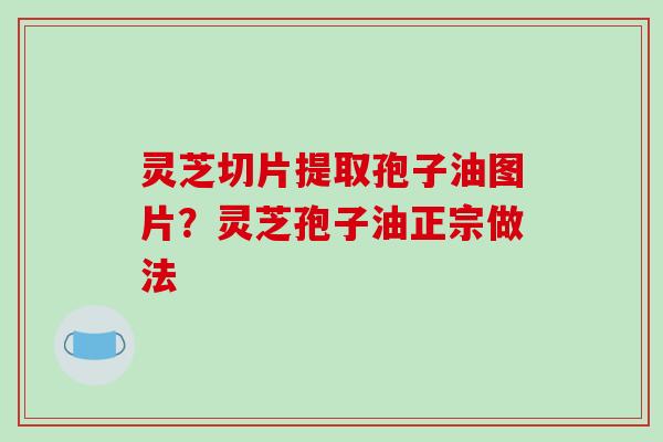 灵芝切片提取孢子油图片？灵芝孢子油正宗做法