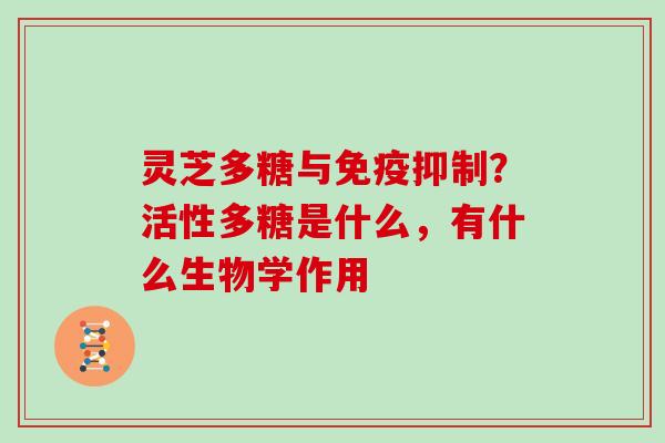 灵芝多糖与免疫抑制？活性多糖是什么，有什么生物学作用