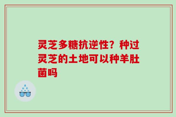 灵芝多糖抗逆性？种过灵芝的土地可以种羊肚菌吗