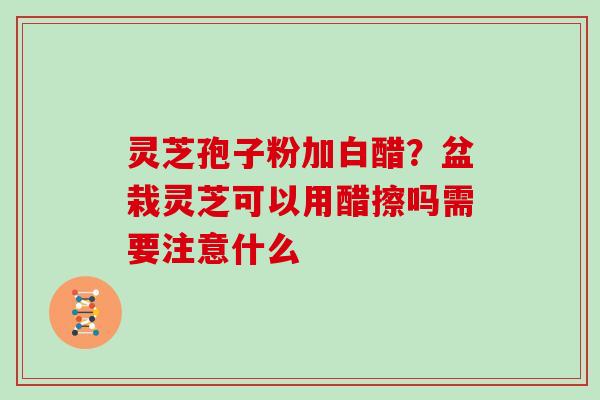 灵芝孢子粉加白醋？盆栽灵芝可以用醋擦吗需要注意什么