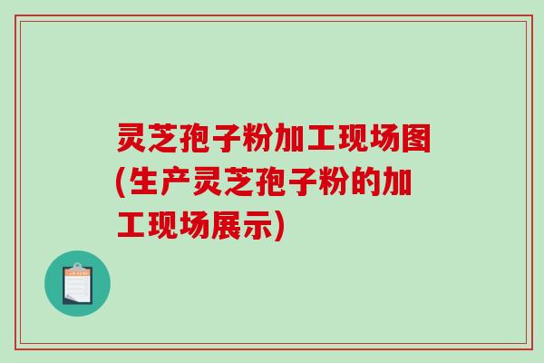 灵芝孢子粉加工现场图(生产灵芝孢子粉的加工现场展示)