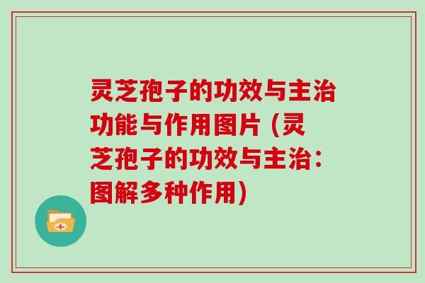 灵芝孢子的功效与主功能与作用图片 (灵芝孢子的功效与主：图解多种作用)