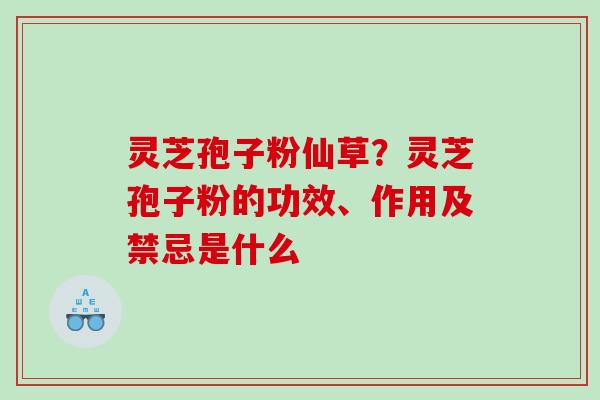 灵芝孢子粉仙草？灵芝孢子粉的功效、作用及禁忌是什么