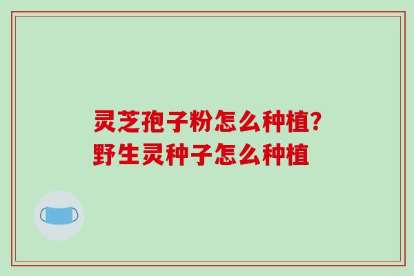 灵芝孢子粉怎么种植?野生灵种子怎么种植 灵芝孢子粉怎么种植?野生灵种子怎么种植