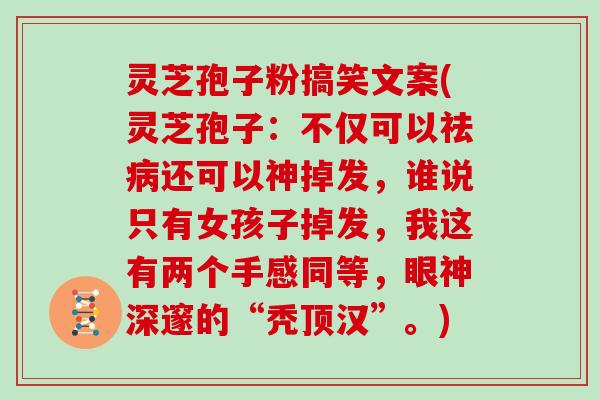 灵芝孢子粉搞笑文案(灵芝孢子：不仅可以祛还可以神掉发，谁说只有女孩子掉发，我这有两个手感同等，眼神深邃的“秃顶汉”。)