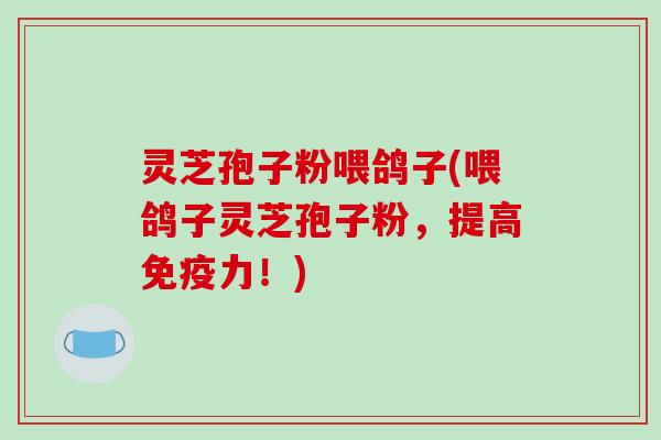 灵芝孢子粉喂鸽子(喂鸽子灵芝孢子粉，提高免疫力！)