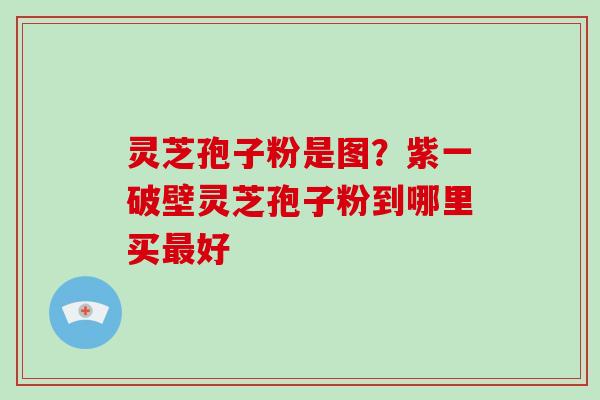 灵芝孢子粉是图？紫一破壁灵芝孢子粉到哪里买好
