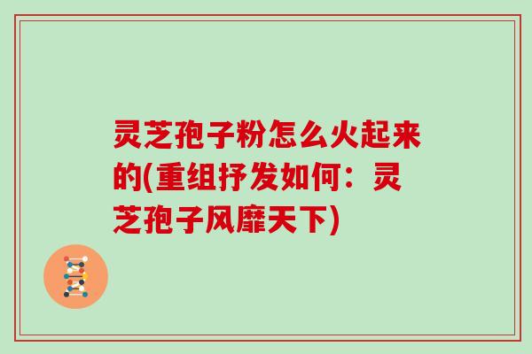 灵芝孢子粉怎么火起来的(重组抒发如何：灵芝孢子风靡天下)