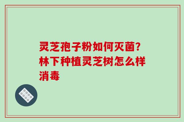 灵芝孢子粉如何灭菌?林下种植灵芝树怎么样消毒 灵芝孢子粉如何灭菌?林下种植灵芝树怎么样消毒