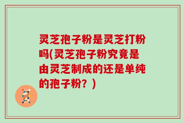 灵芝孢子粉是灵芝打粉吗(灵芝孢子粉究竟是由灵芝制成的还是单纯的孢子粉？)