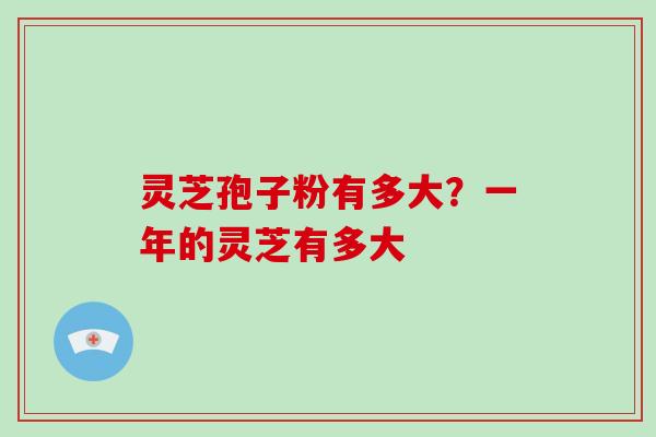灵芝孢子粉有多大？一年的灵芝有多大
