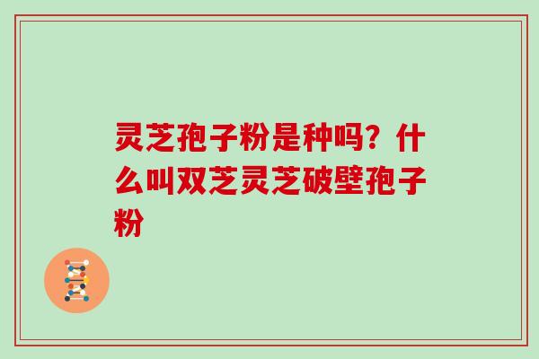 灵芝孢子粉是种吗？什么叫双芝灵芝破壁孢子粉