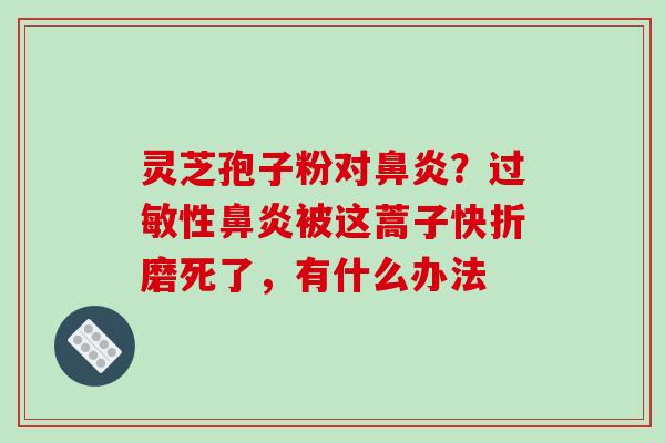 灵芝孢子粉对鼻炎？过敏性鼻炎被这蒿子快折磨死了，有什么办法